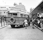 All roads lead to Egged