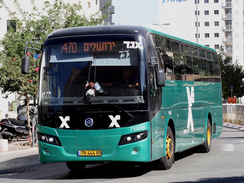 גולדן דרגון בינעירוני C