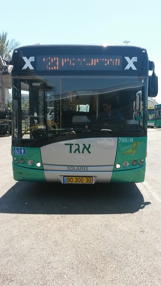 סולאריס עירוני