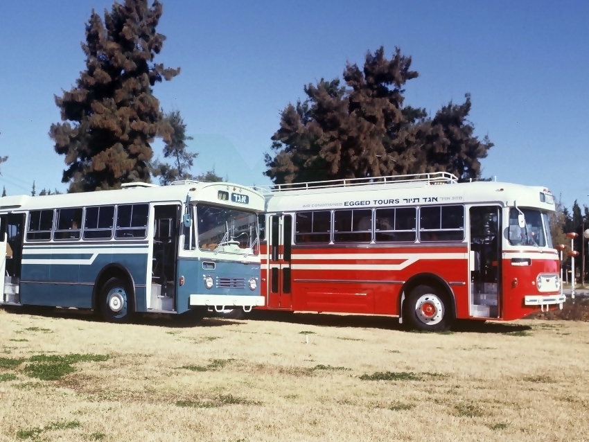 80 years of color