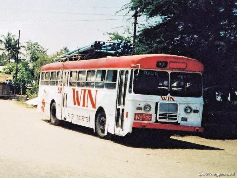 "הטייגרים" שלנו עדיין בשירות... בבורמה