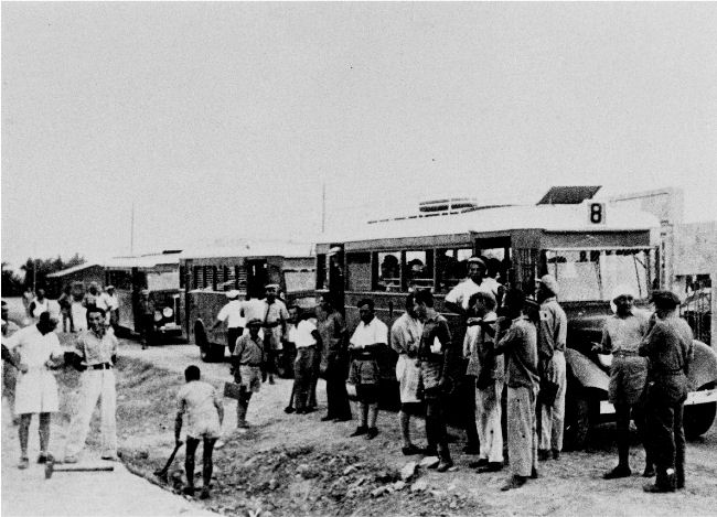 מנהגים בודדים עד קואופרטיב "הקשר"