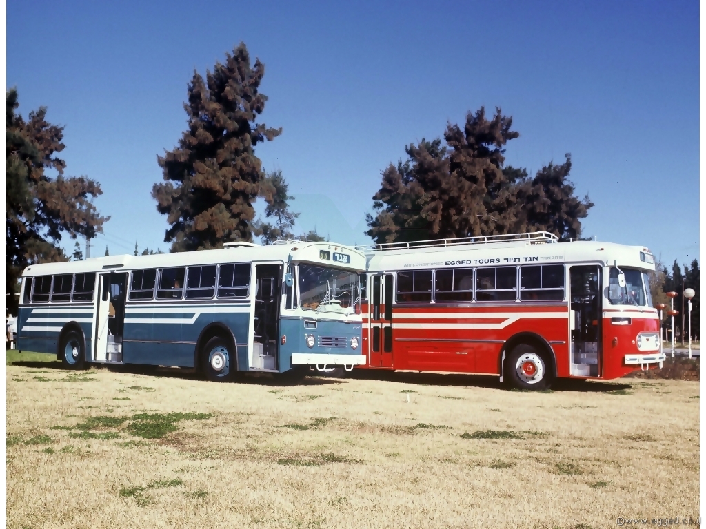 80 years of color