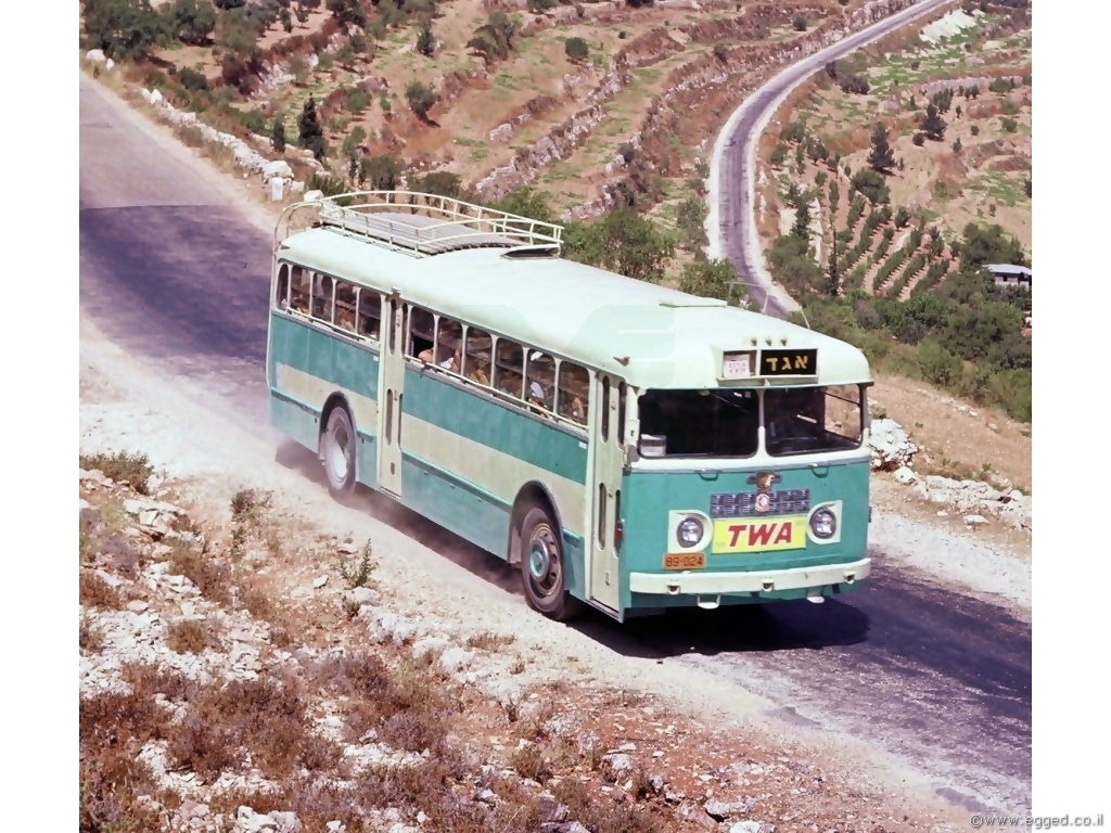 80 years of color