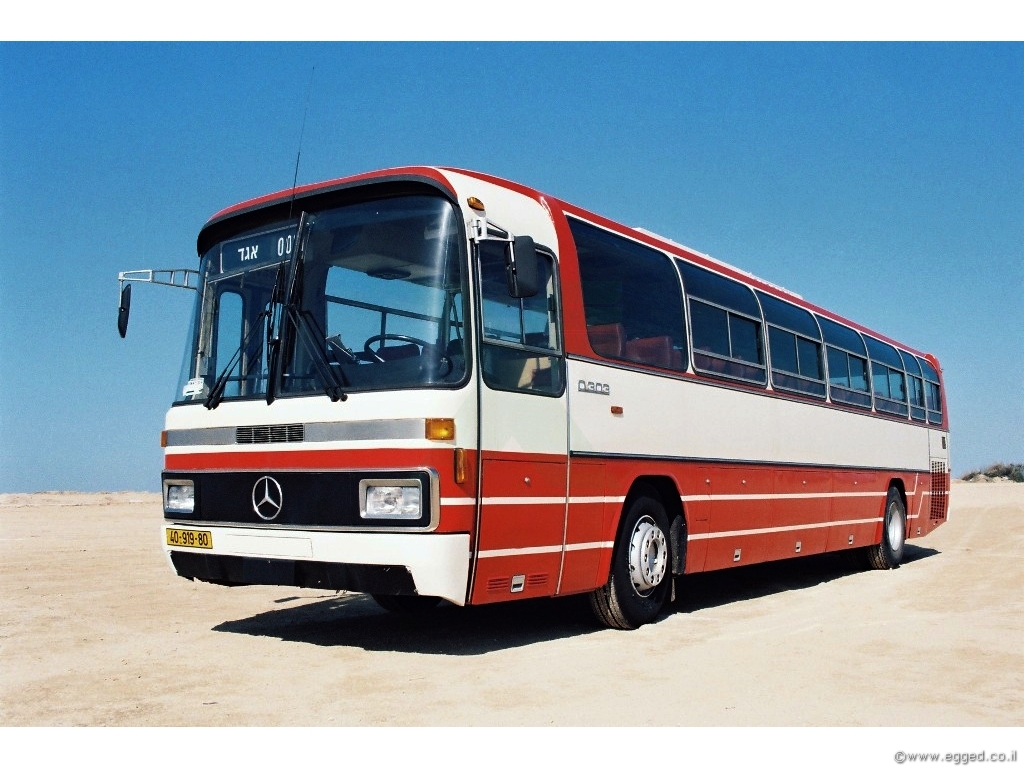 80 שנות צבע